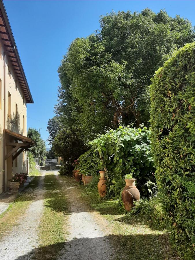 Antica Fattoria La Verdina * Camaiore